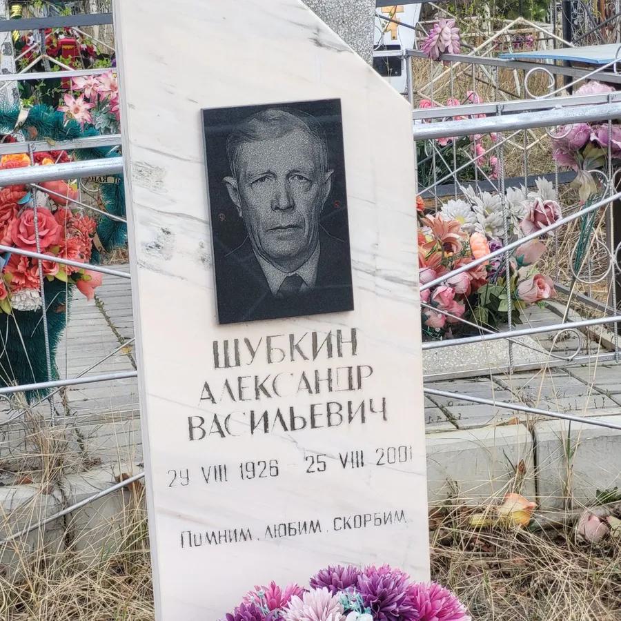 Шубкин Александр Васильевич