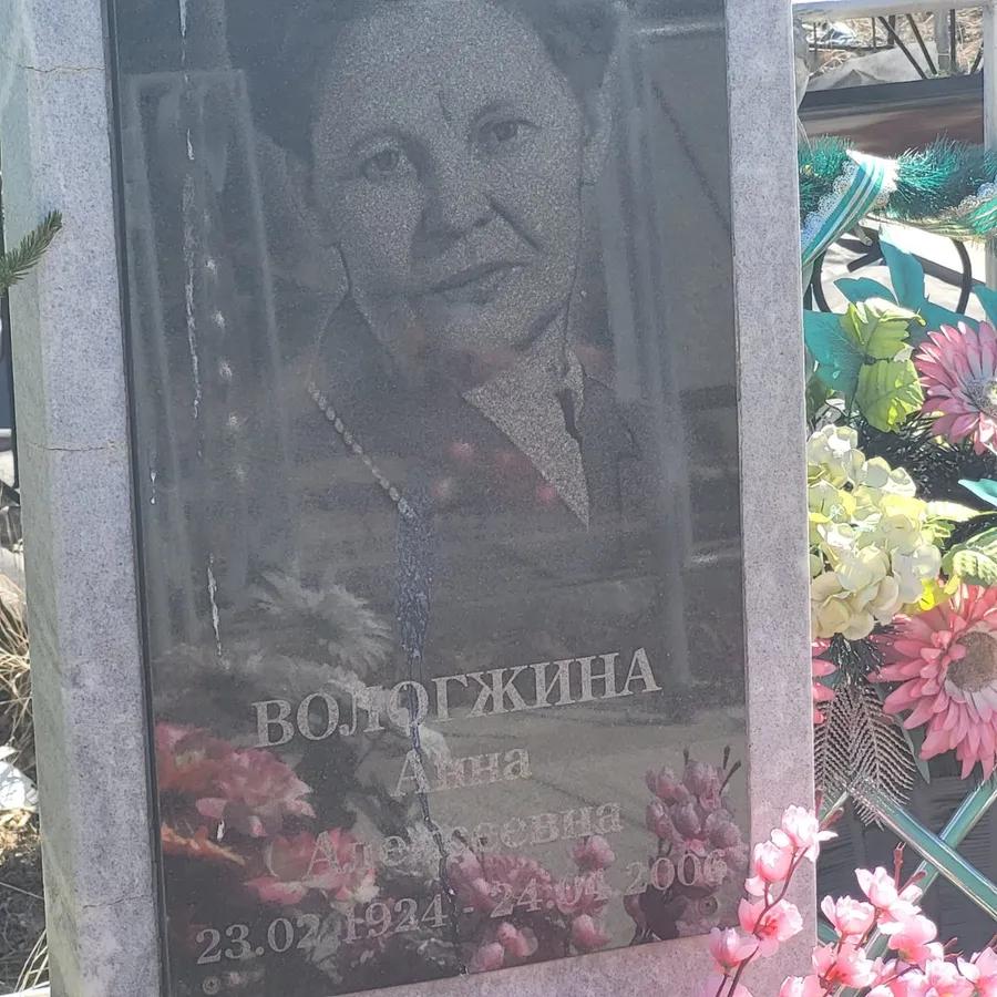 Вологжина Анна Алексеевна