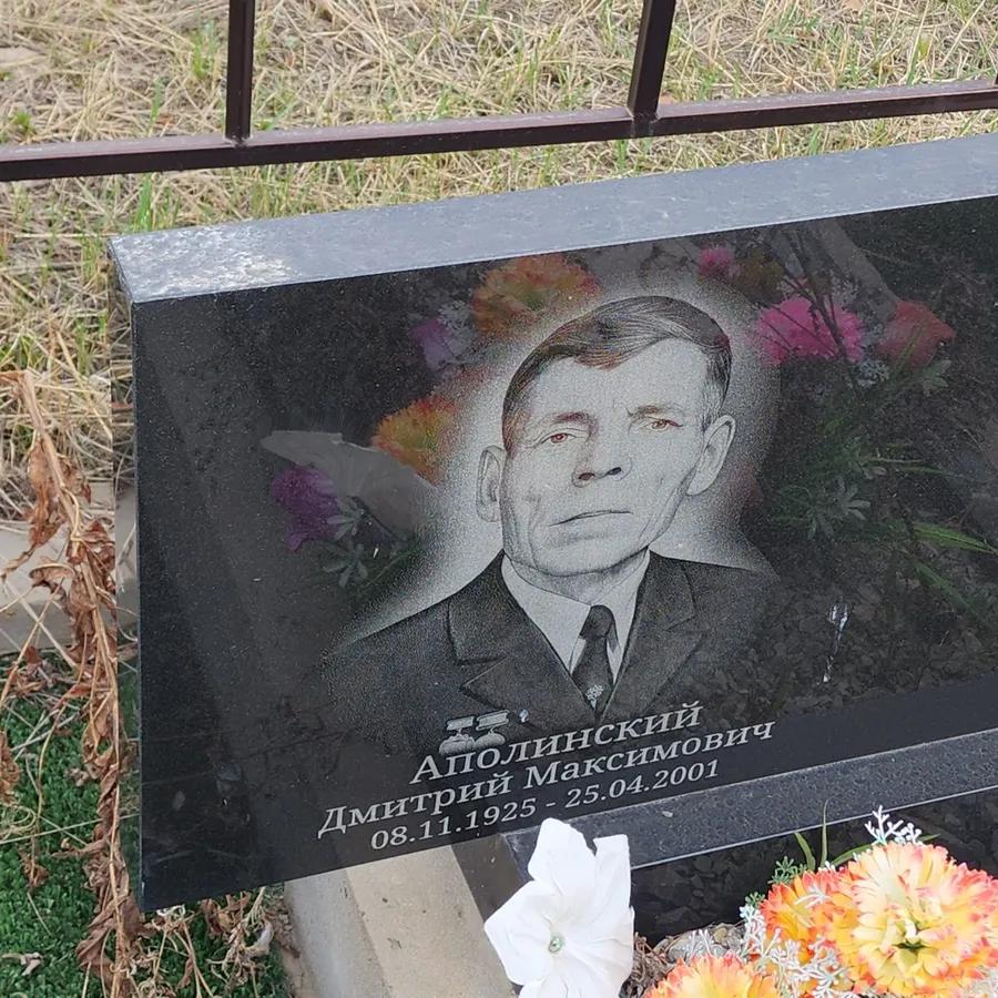 Аполинский Дмитрий Максимович