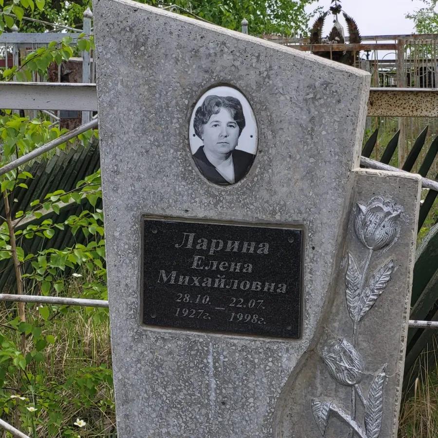 Ларина Елена Михайловна