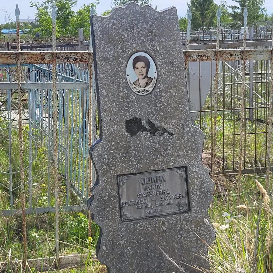 Яшина Наиля Файзиевна