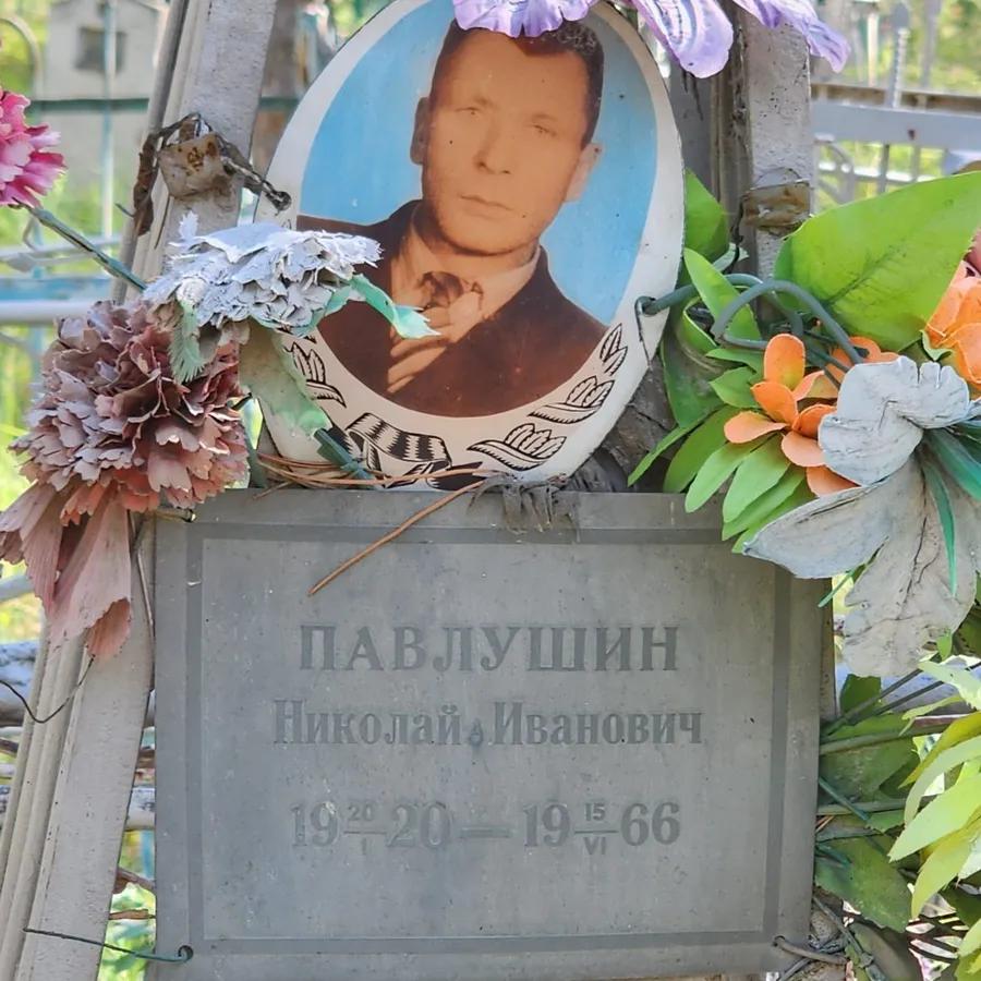 Павлушин Николай Иванович