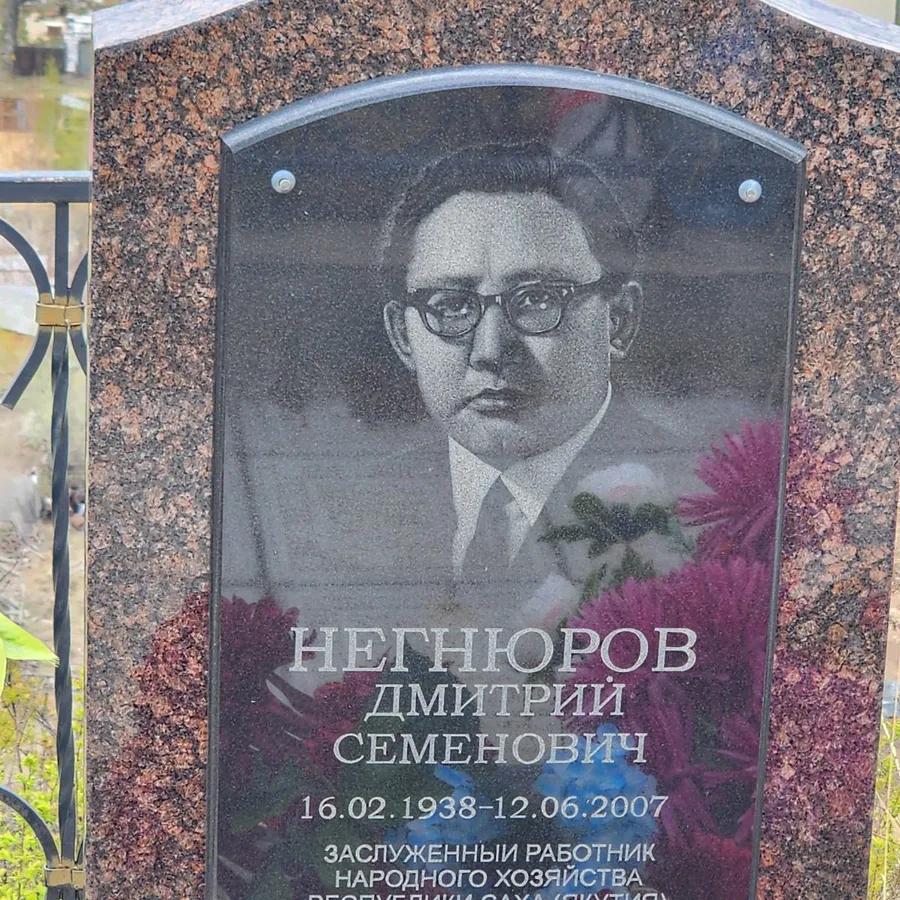 Негнюров Дмитрий Семенович