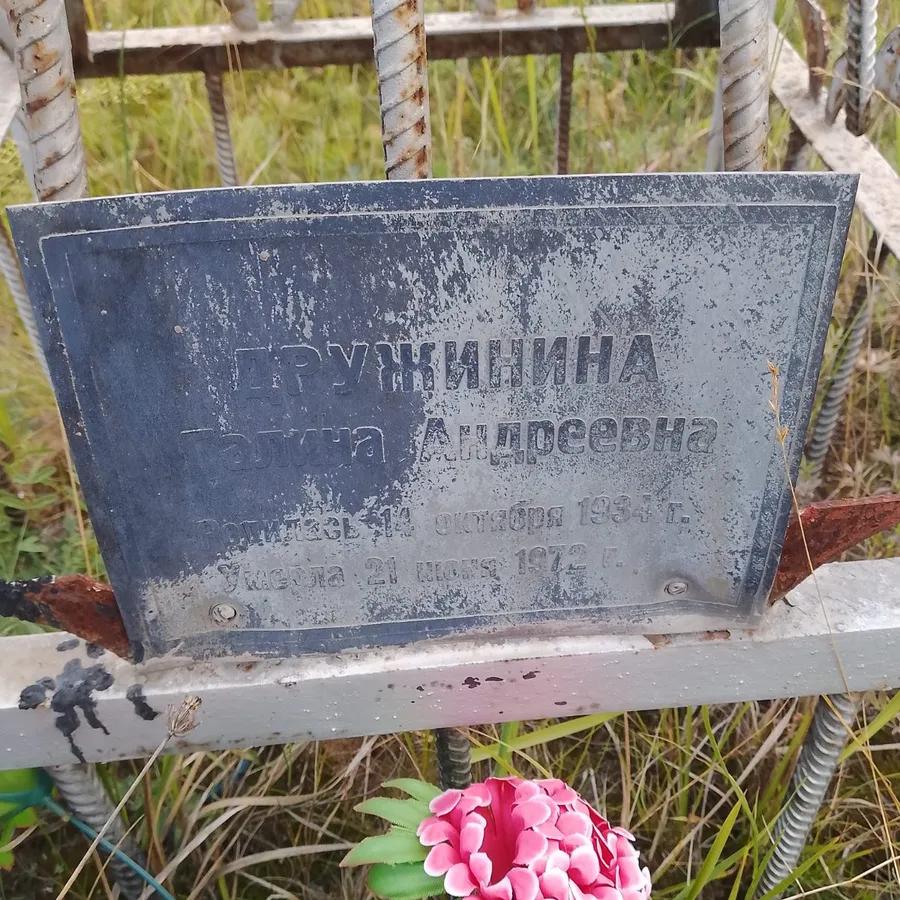 Дружинина Галина Андреевна