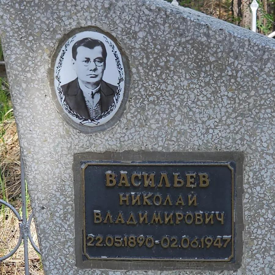Васильев Николай Владимирович