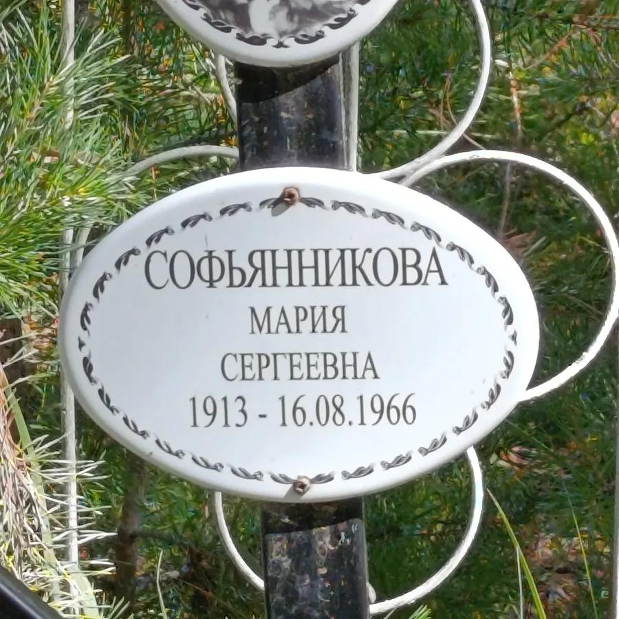 Софьянникова Мария Сергеевна
