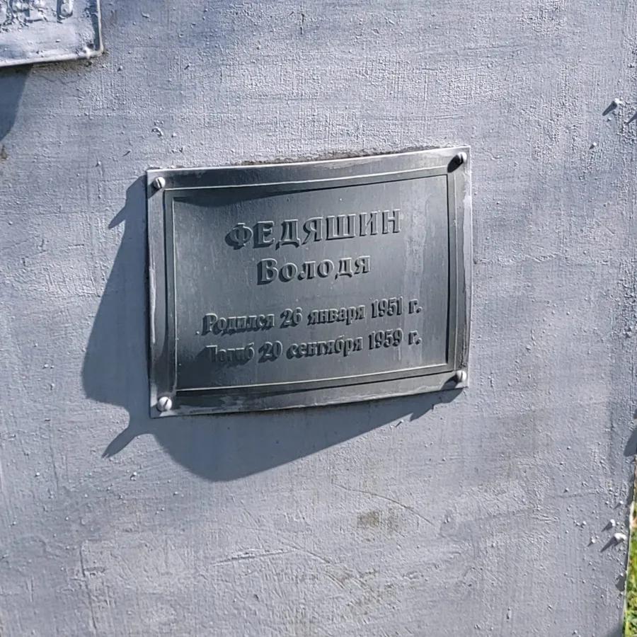 Федяшин Володя