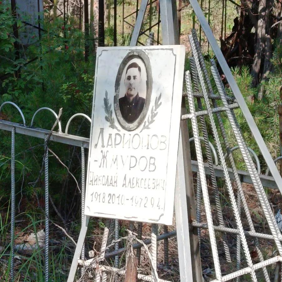 Жмуров Николай Алексеевич