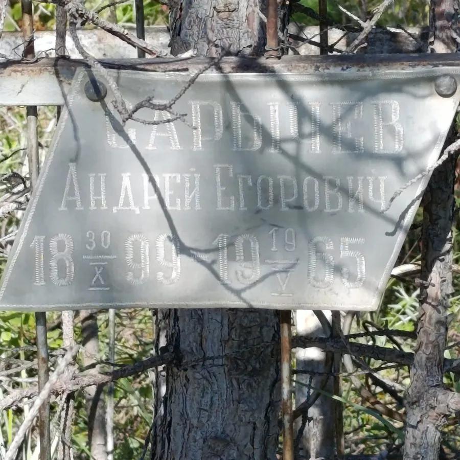 Сарычев Андрей Егорович