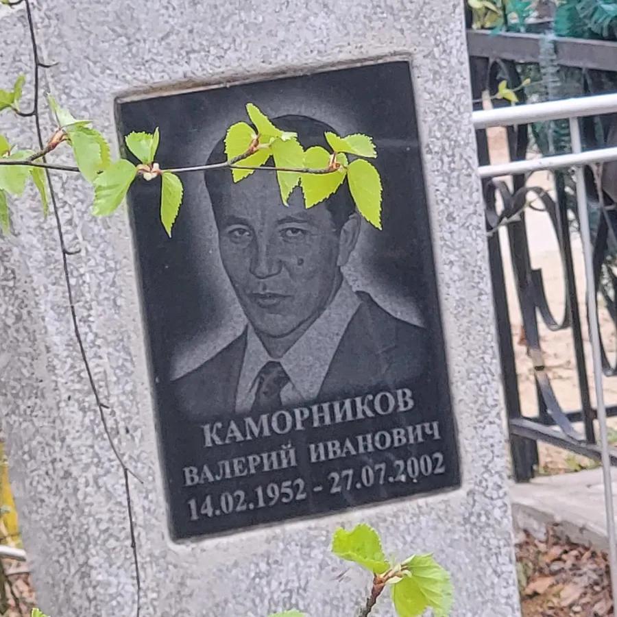 Каморников Валерий Иванович