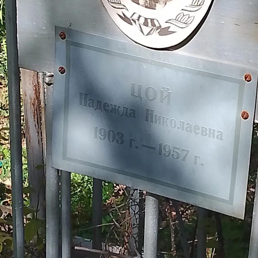 Цой Надежда Николаевна