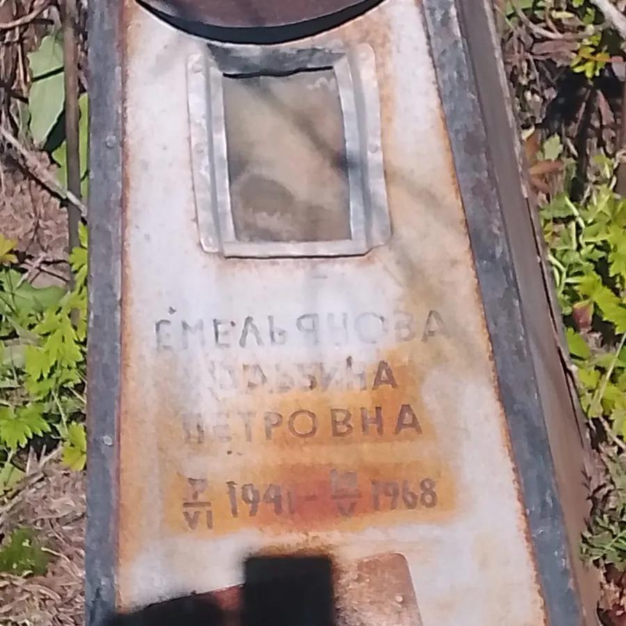 Емельянова Альбина Петровна