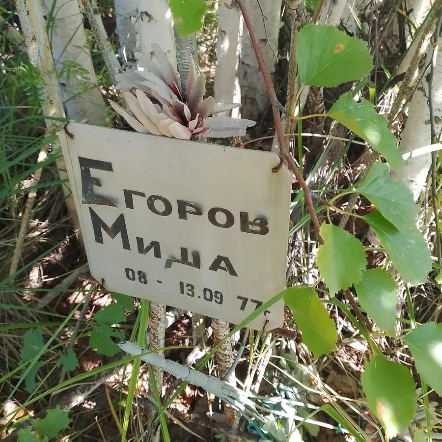 Егоров Михаил