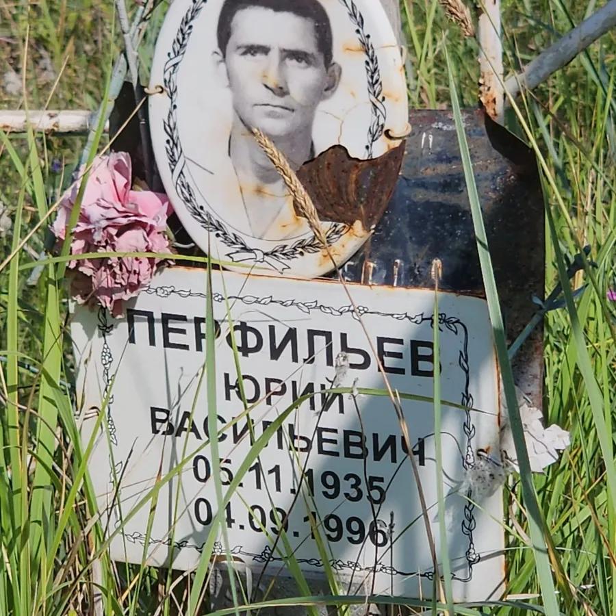 Перфильев Юрий Васильевич
