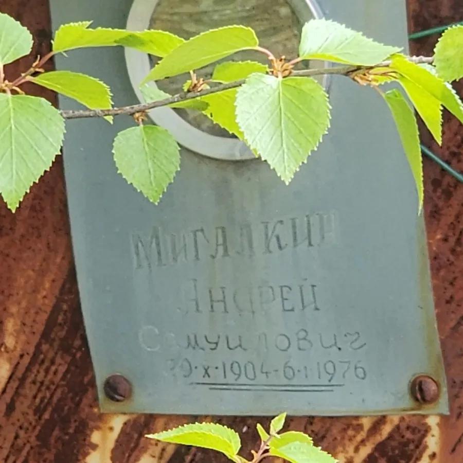 Мигалкин Андрей Самуилович