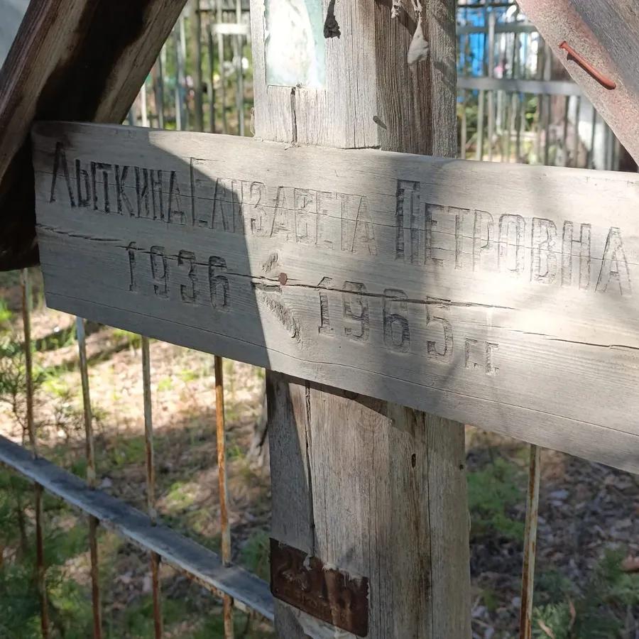 Лыткина Елизавета Петровна