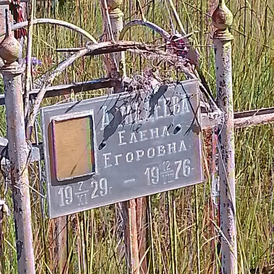 Данилова Елена Егоровна