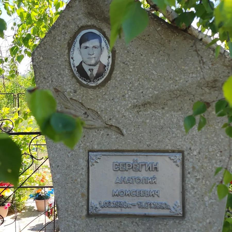 Серёгин Анатолий Моисеевич