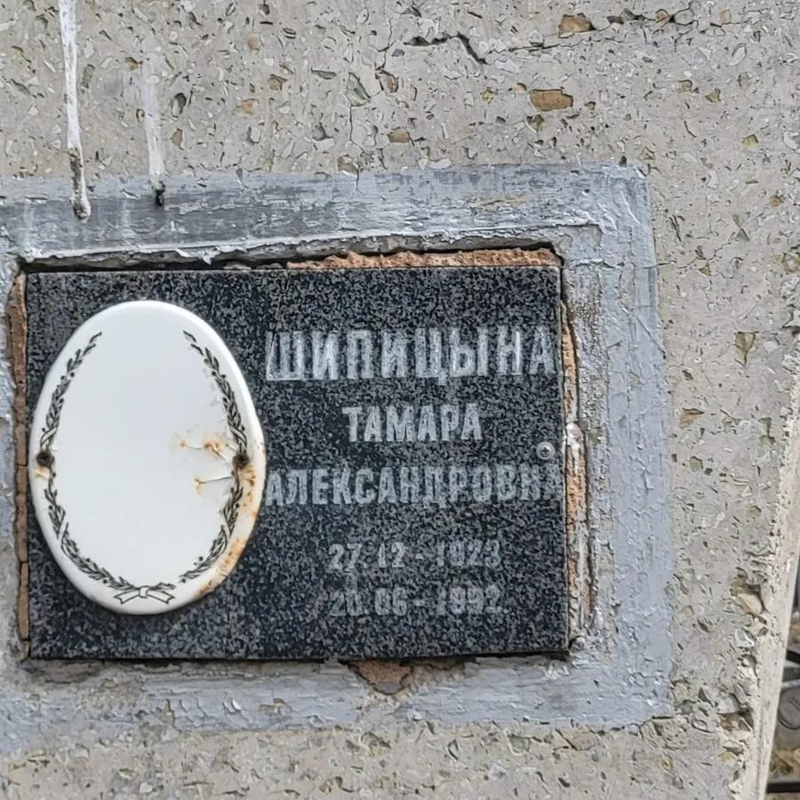Шипицына Тамара Александровна