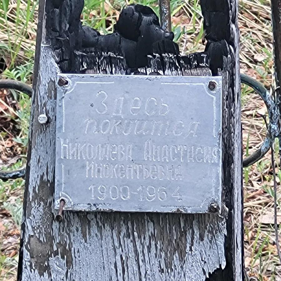 Николаева Анастасия Иннокентьевна