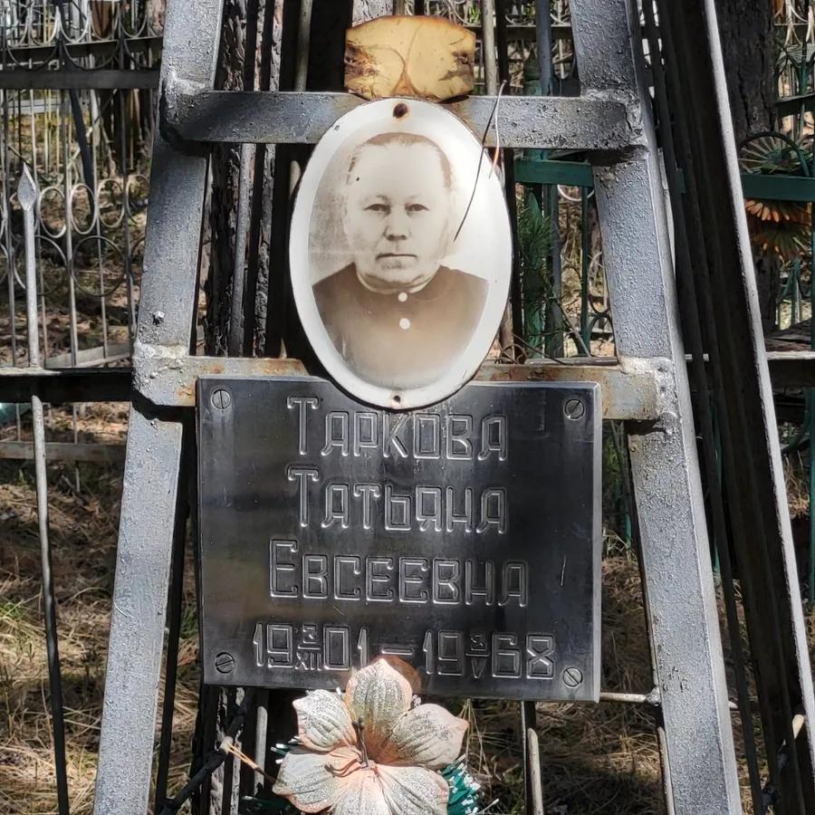 Таркова Татьяна Евсеевна
