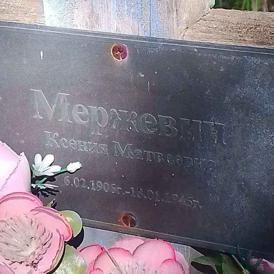 Мержевич Ксения Матвеевна