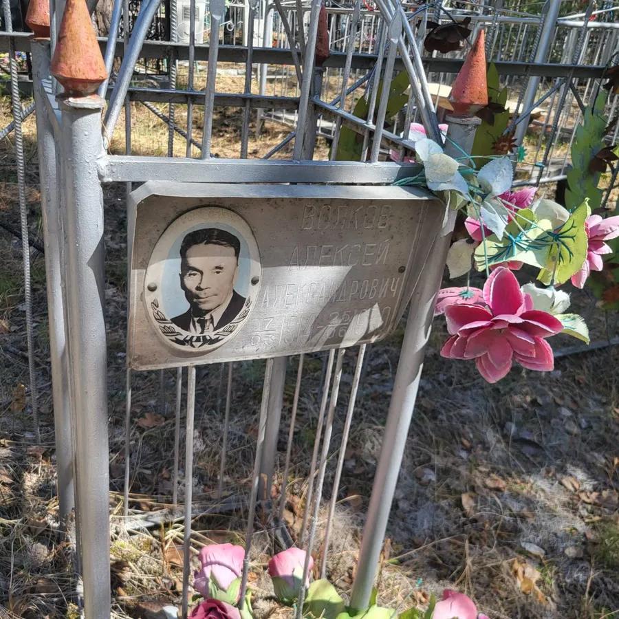 Волков Алексей Александрович