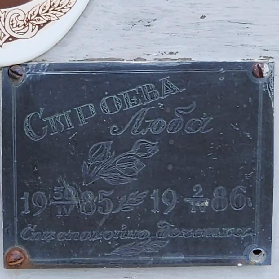Строева Люба