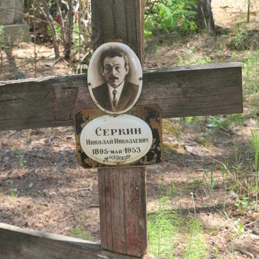 Серкин Николай Николаевич