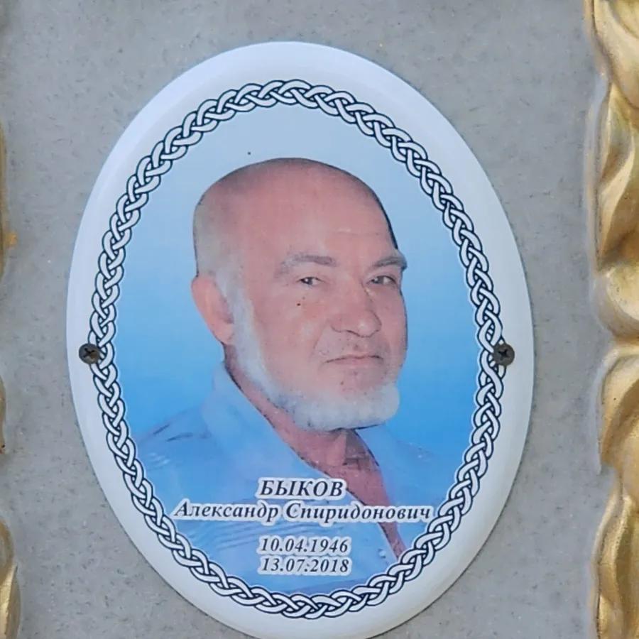 Быков Александр Спиридонович