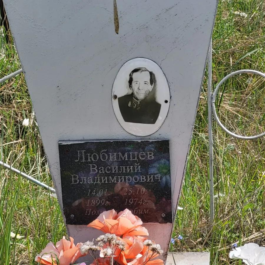 Любимцев Василий Владимирович