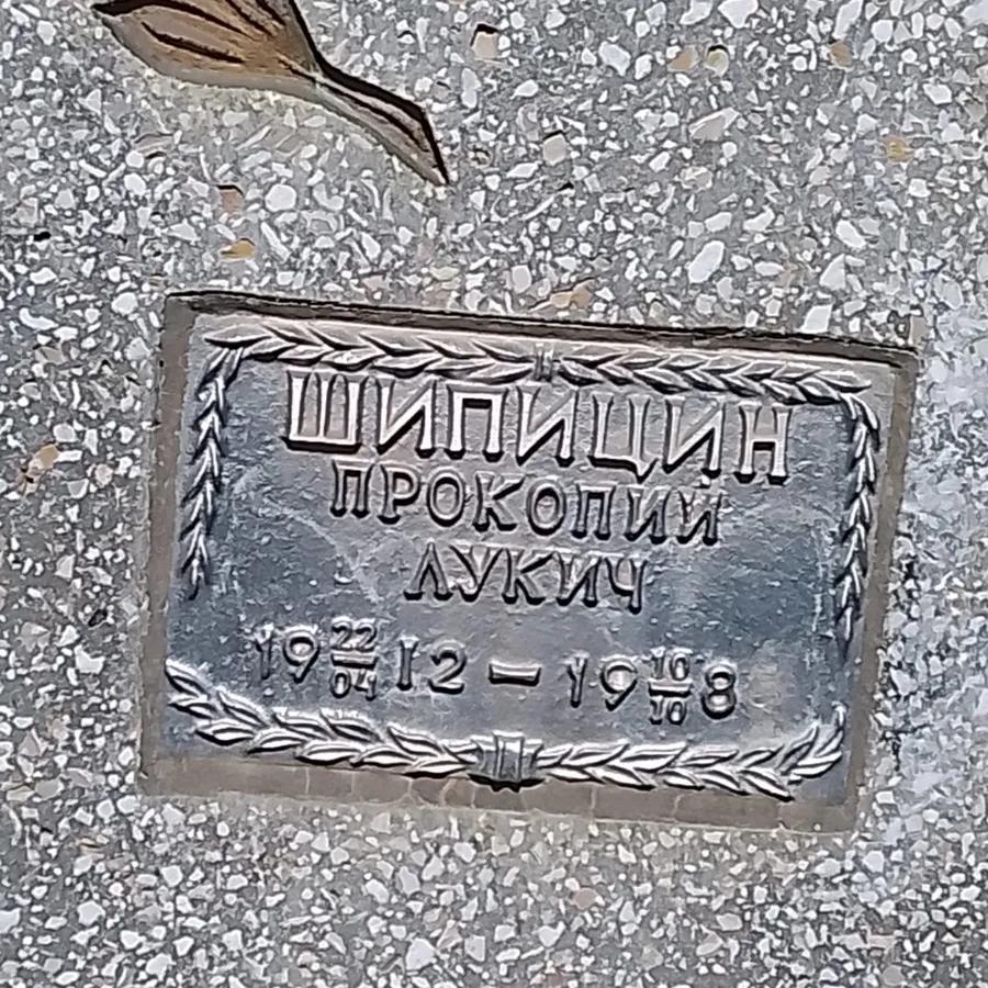 Шипицин Прокопий Лукич