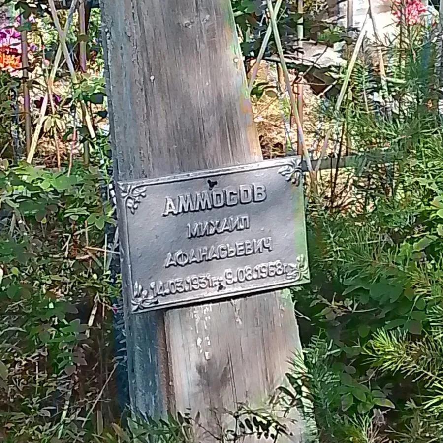 Аммосов Михаил Афанасьевич