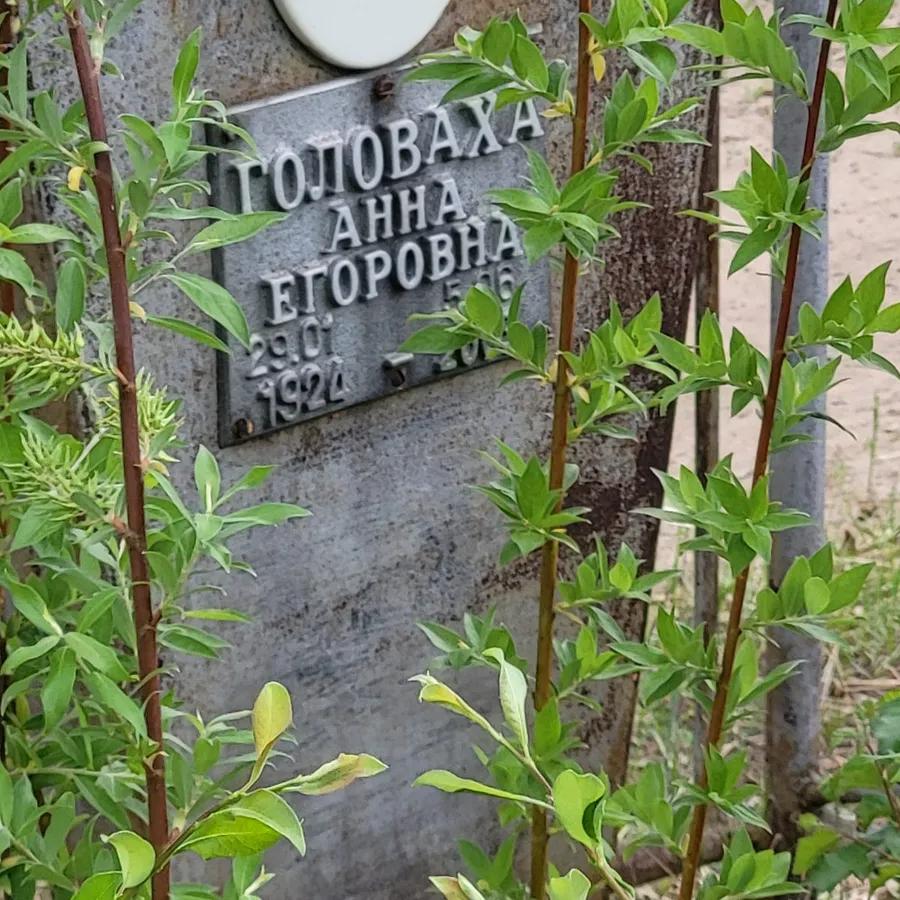 Головаха Анна Егоровна
