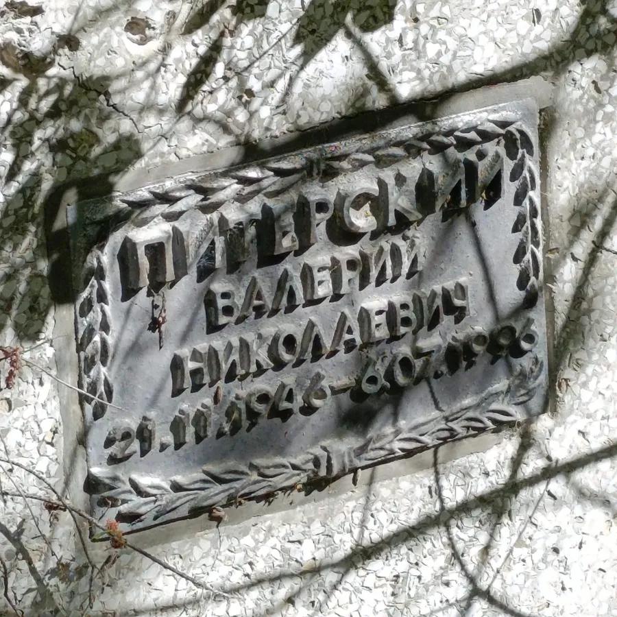 Питерский Валерий Николаевич