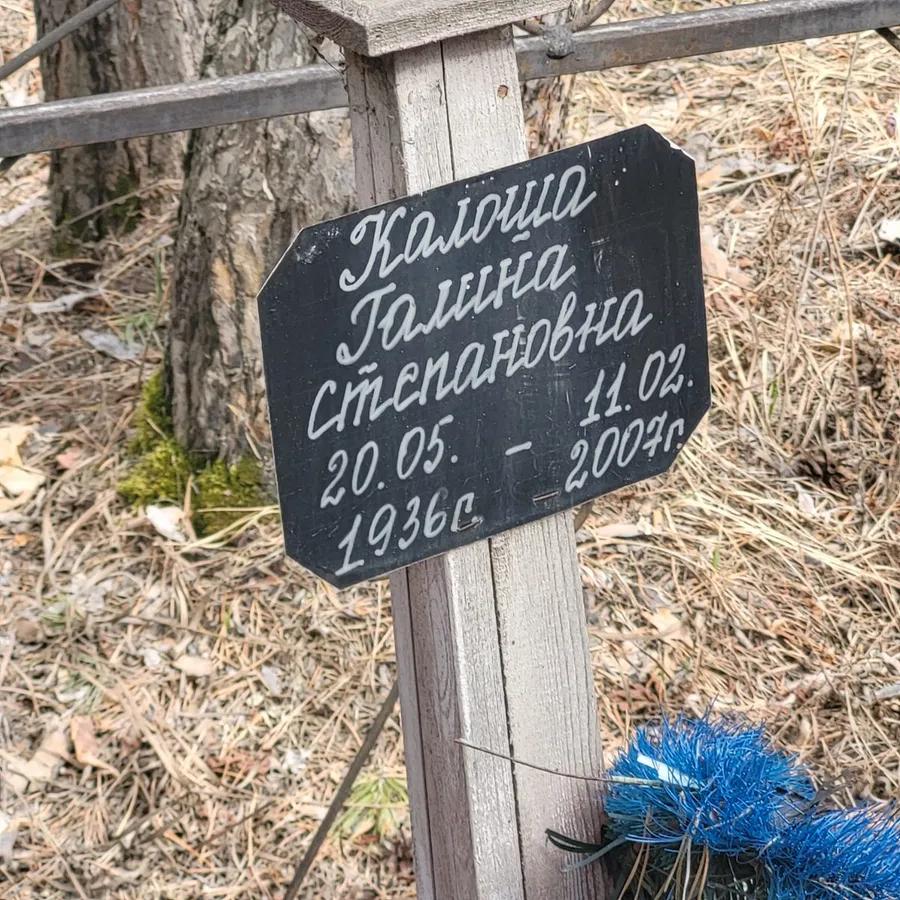 Калюща Талина Степановна