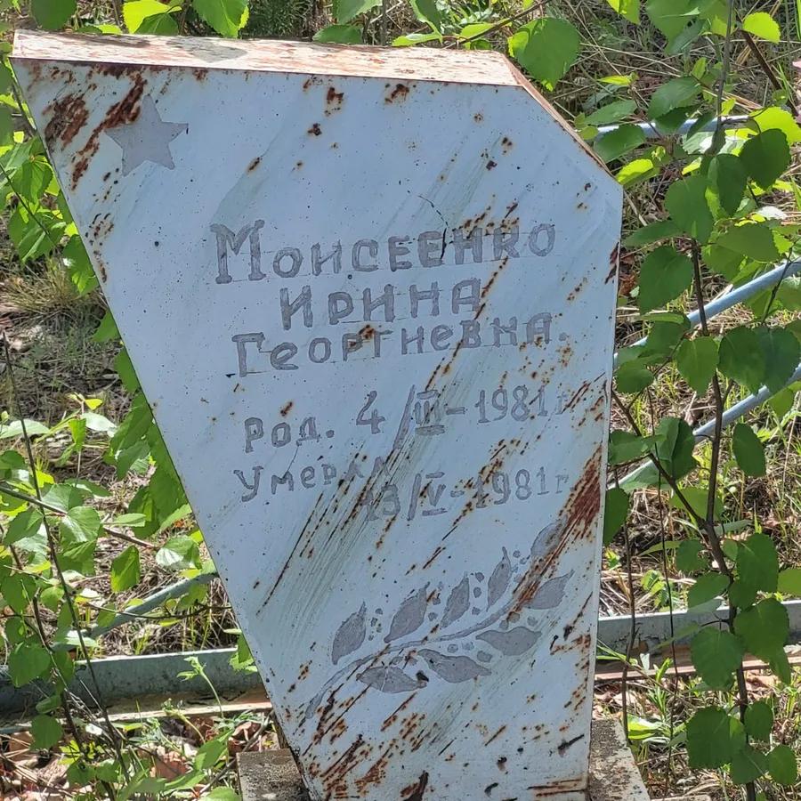 Моисеенко Ирина Георгиевна