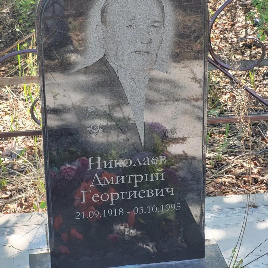 Николаев Дмитрий Георгиевич
