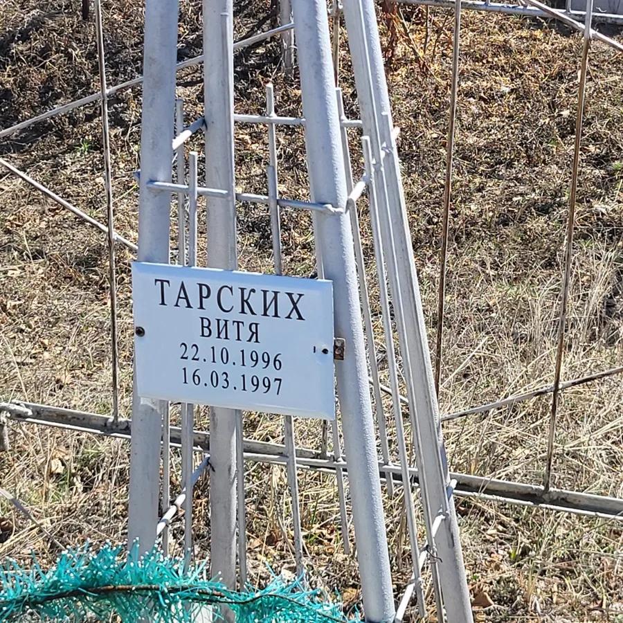 Тарских Витя