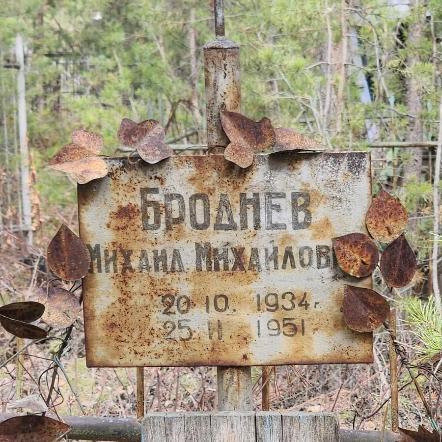 Броднев Михаил Михайлович
