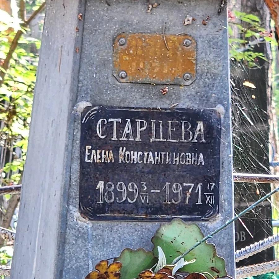 Старцева Елена Константиновна