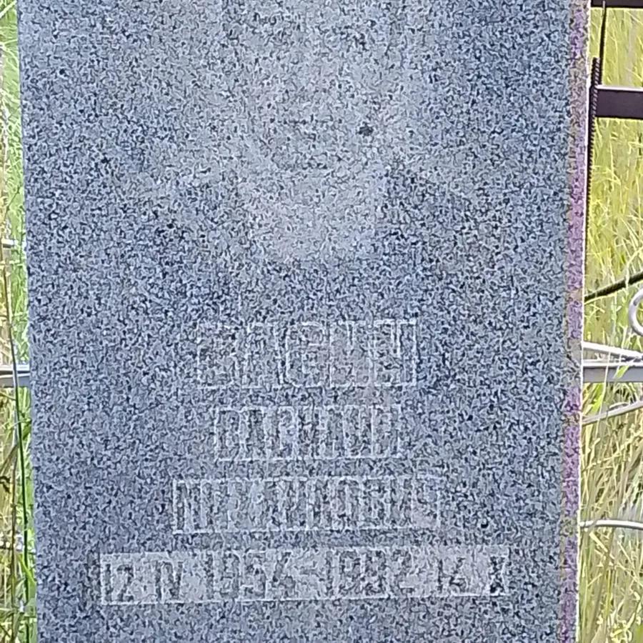 Васин Василий Михайлович