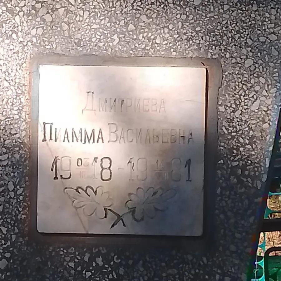 Дмитриева Пиамма Васильевна