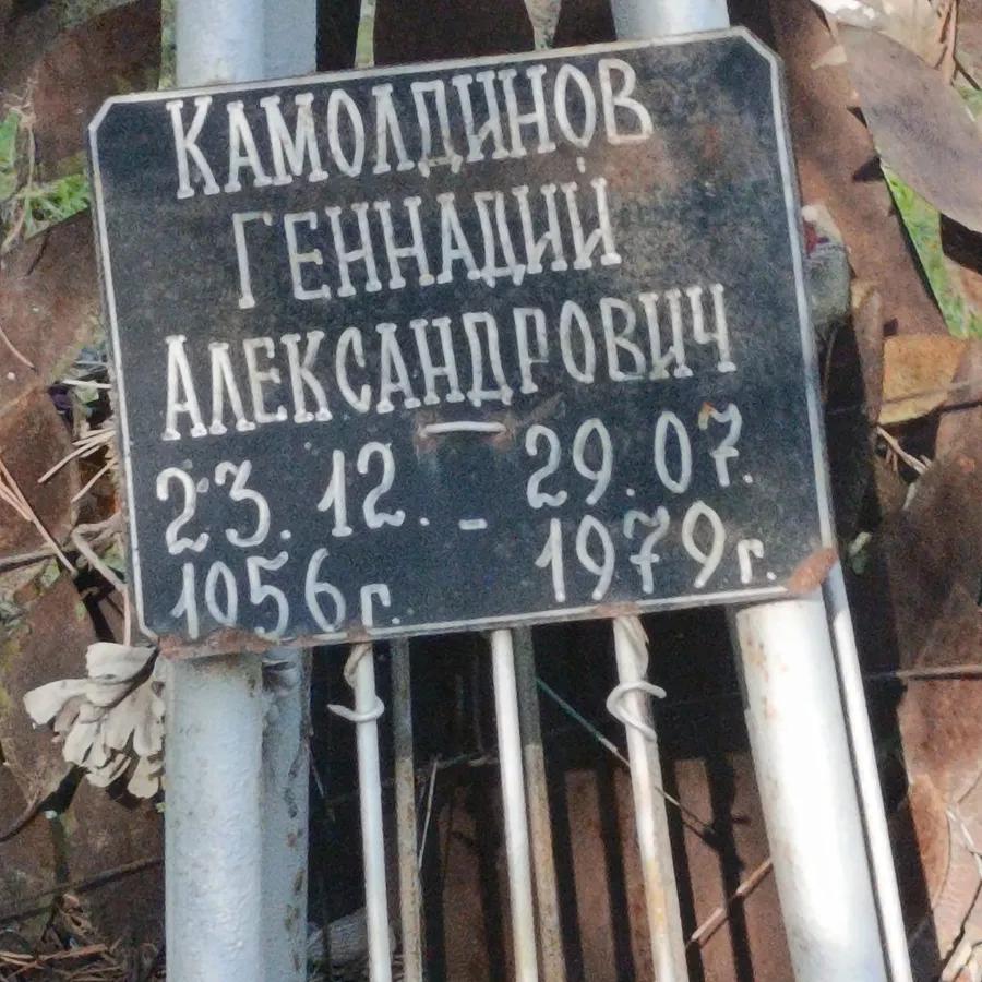 Камолдинов Геннадий Александрович