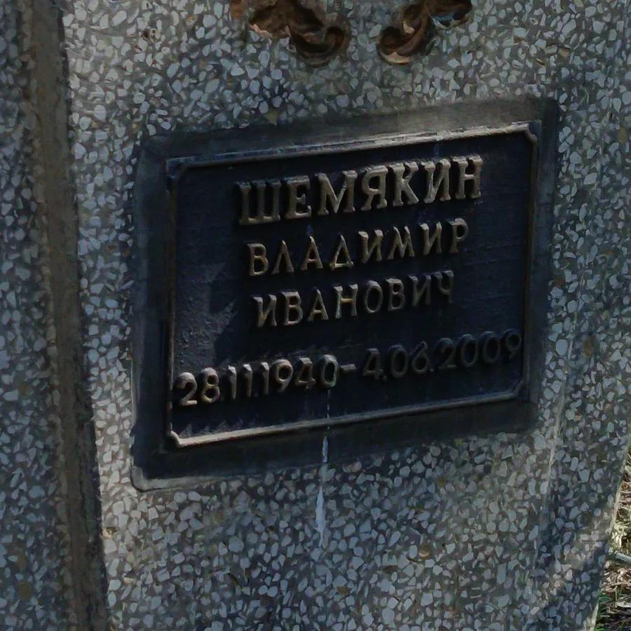 Шемякин Владимир Иванович