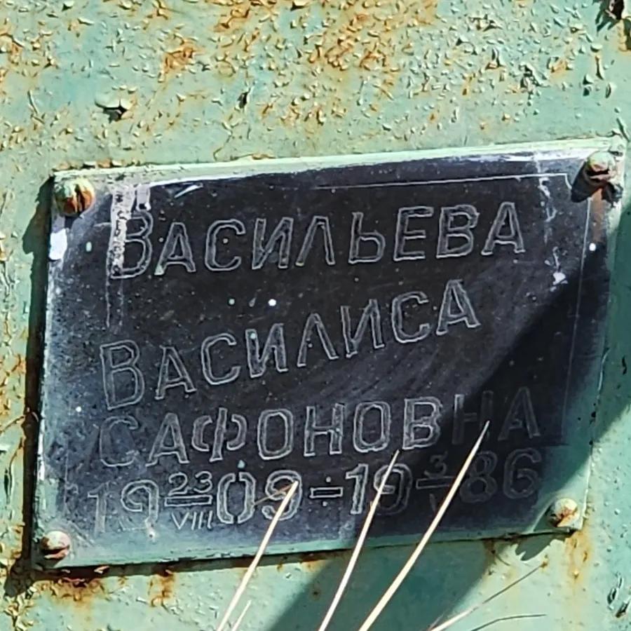 Васильева Василиса Сафоновна
