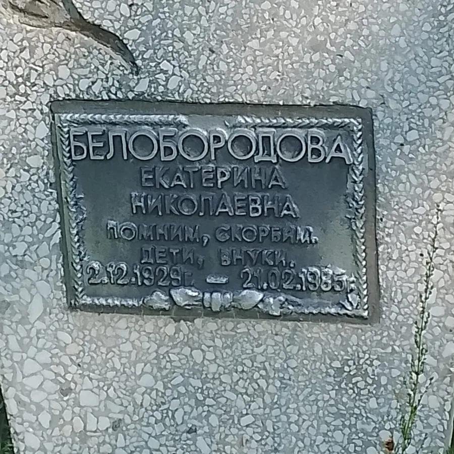 Белобородова Екатерина Николаевна