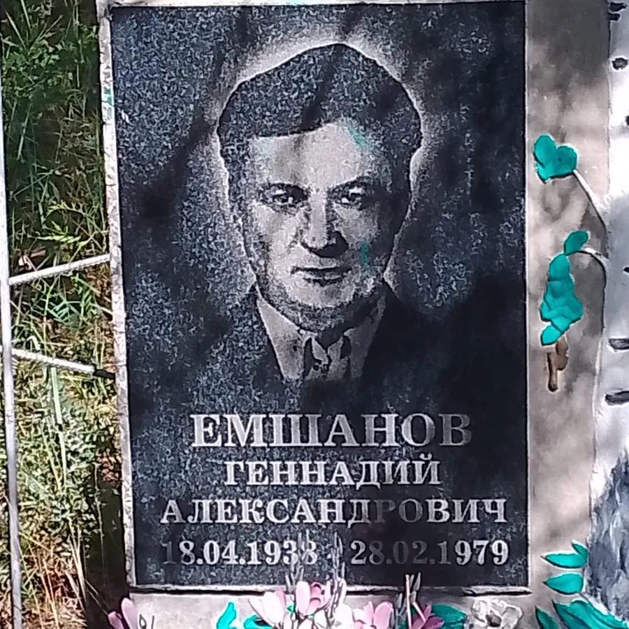 Емишанов Геннадий Александрович
