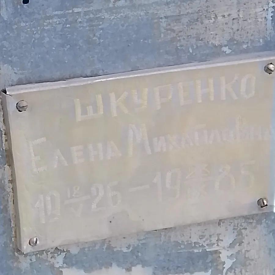 Шкуренко Елена Михайловна