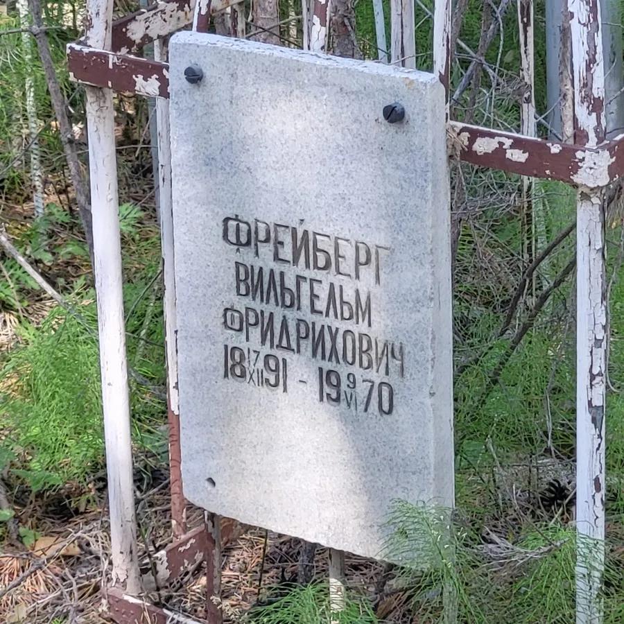 Фрейберг Вильгельм Фридрихович